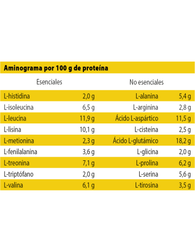 Night Protein - AN